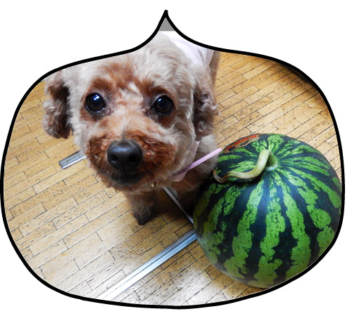 こころ１
