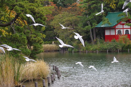 洗足池にて