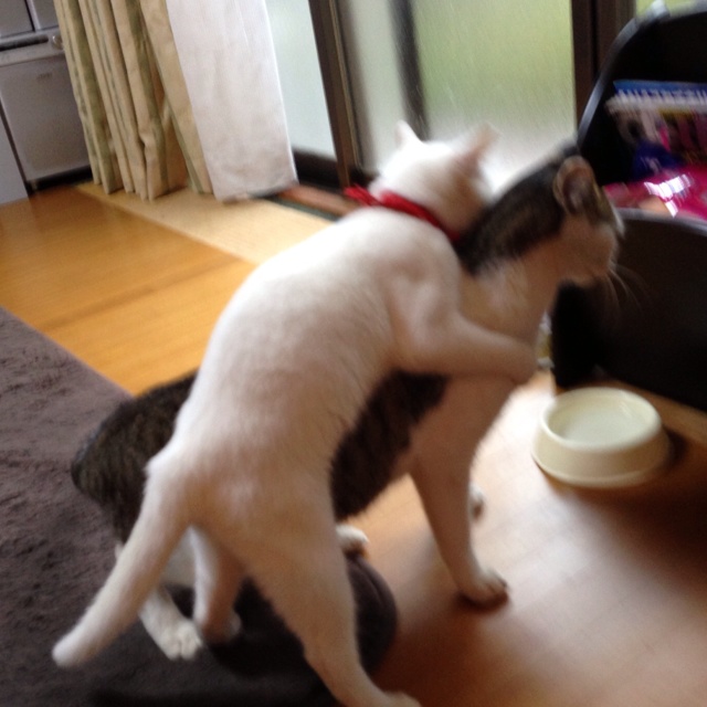 rblog-20121230125651-01.jpg
