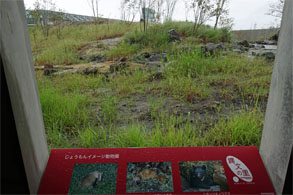 小名浜56.jpg