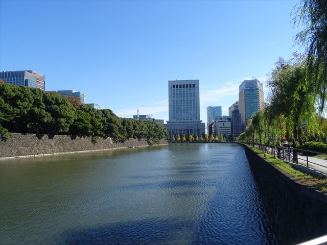DSC07467_R.JPG
