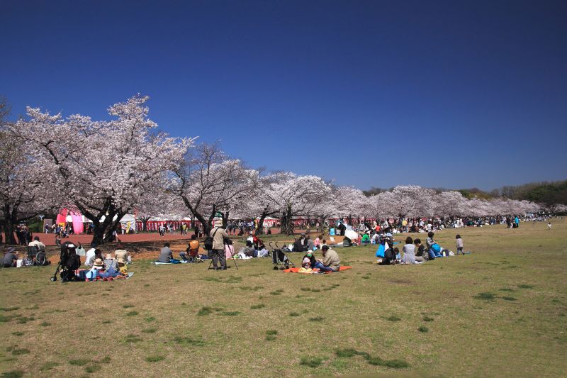 万博記念公園_002.jpg