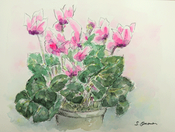 036.gif