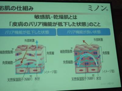 2014028.jpg