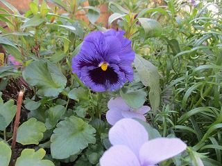 IMG_5760ss.jpg