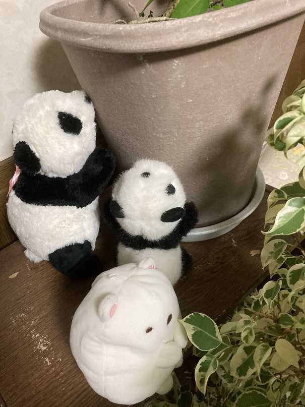 プラネタリウムと徳川園の梅と ｔｅａ ｇａｒｄｅｎ ちょっとひとりごと 楽天ブログ