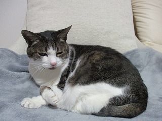 IMG_7103ss.jpg