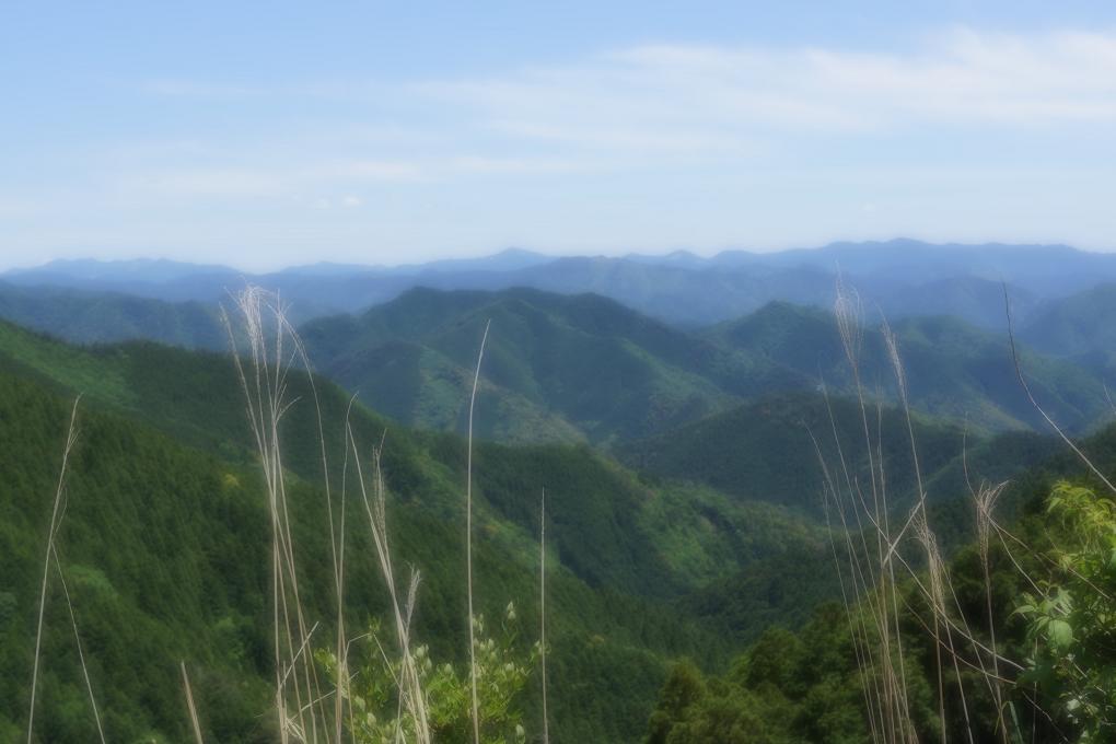 DSC08357.jpg