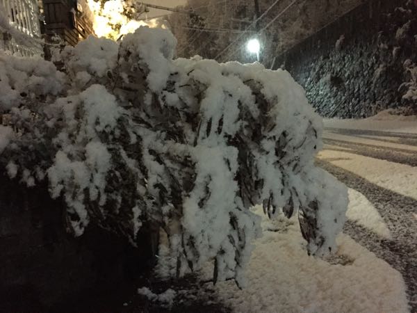 rblog-20170115182743-09.jpg