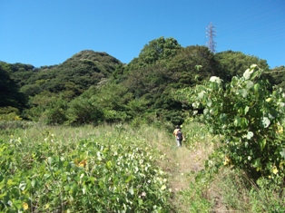 山を歩く3介