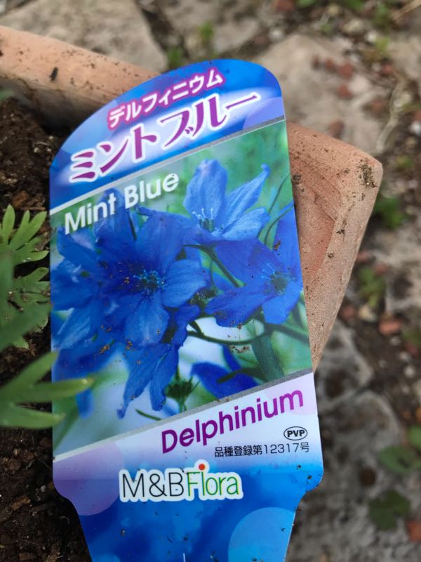 rblog-20190324174020-05.jpg