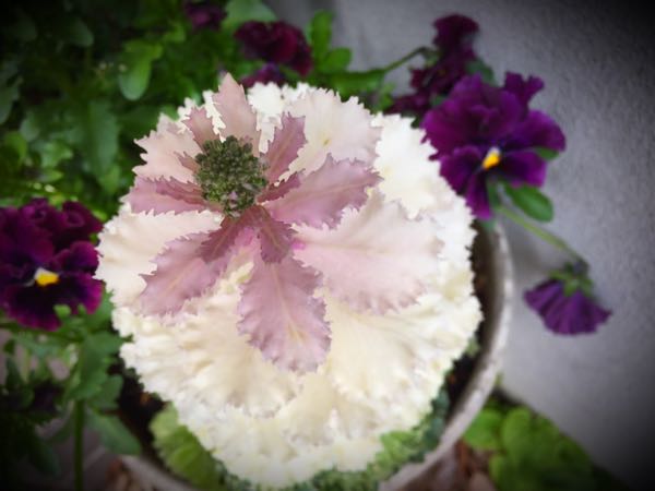 rblog-20160328172413-07.jpg