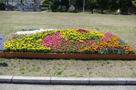 花壇展の作品