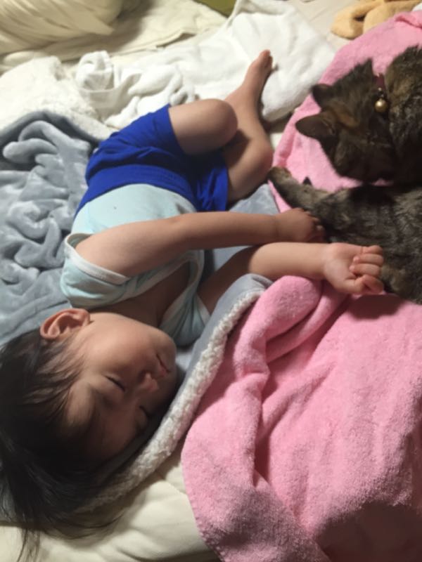 rblog-20150901215044-02.jpg