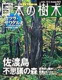 カツラ