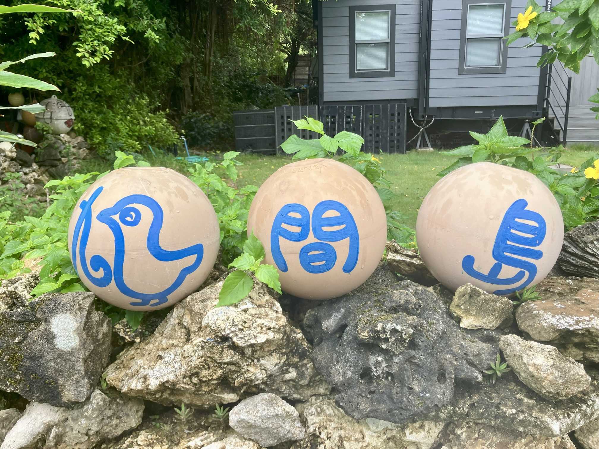 西表島　海猫　アクティビティツアー　鳩間島上陸