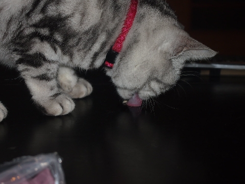 PA043000.JPG