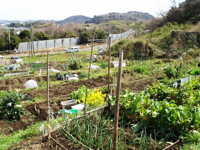 ３月２１日周辺の様子.JPG