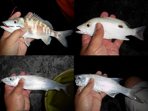 cancun9.jpg