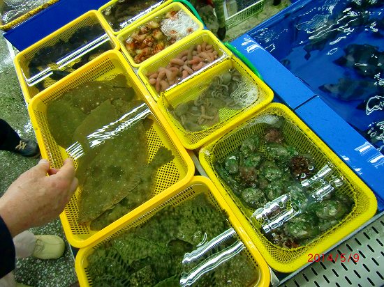 コスタ、ビクトリアでクルーズ 167.jpg