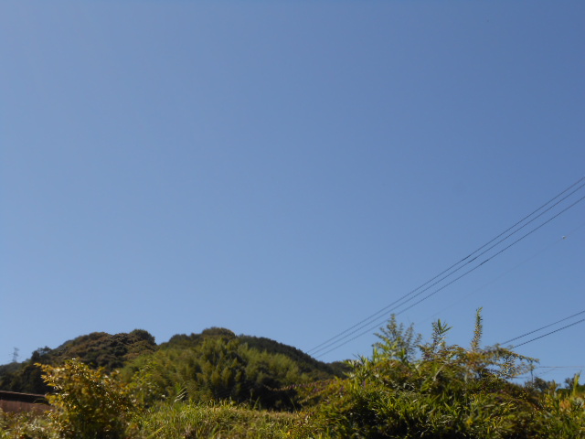 DSCN0538.JPG