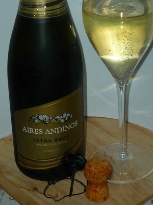 Aires Andinos Sparkling Extra Brut NV glass.jpg