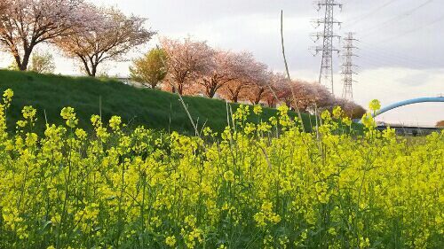 rblog-20180408190522-01.jpg
