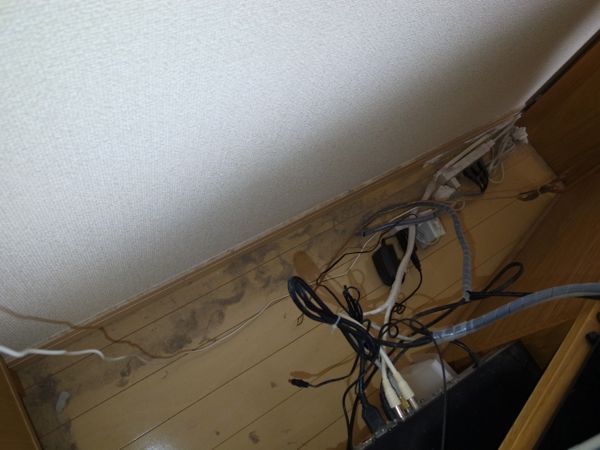 rblog-20150126222611-00.jpg