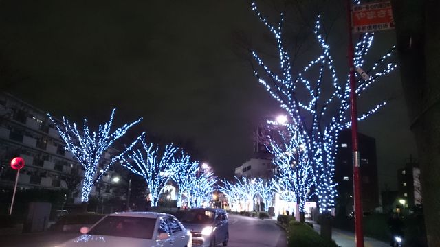 2014-12-12 18.13.52.jpg