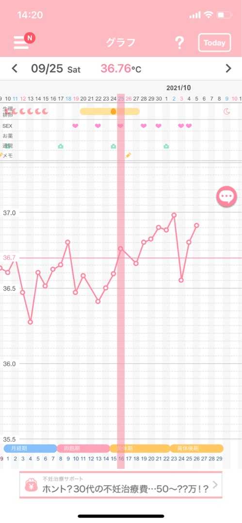4 高温期11日目 フライング2 22才の妊活ブログ 楽天ブログ