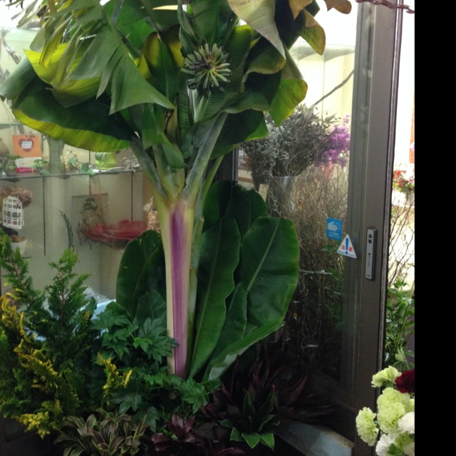 rblog-20140125172426-02.jpg