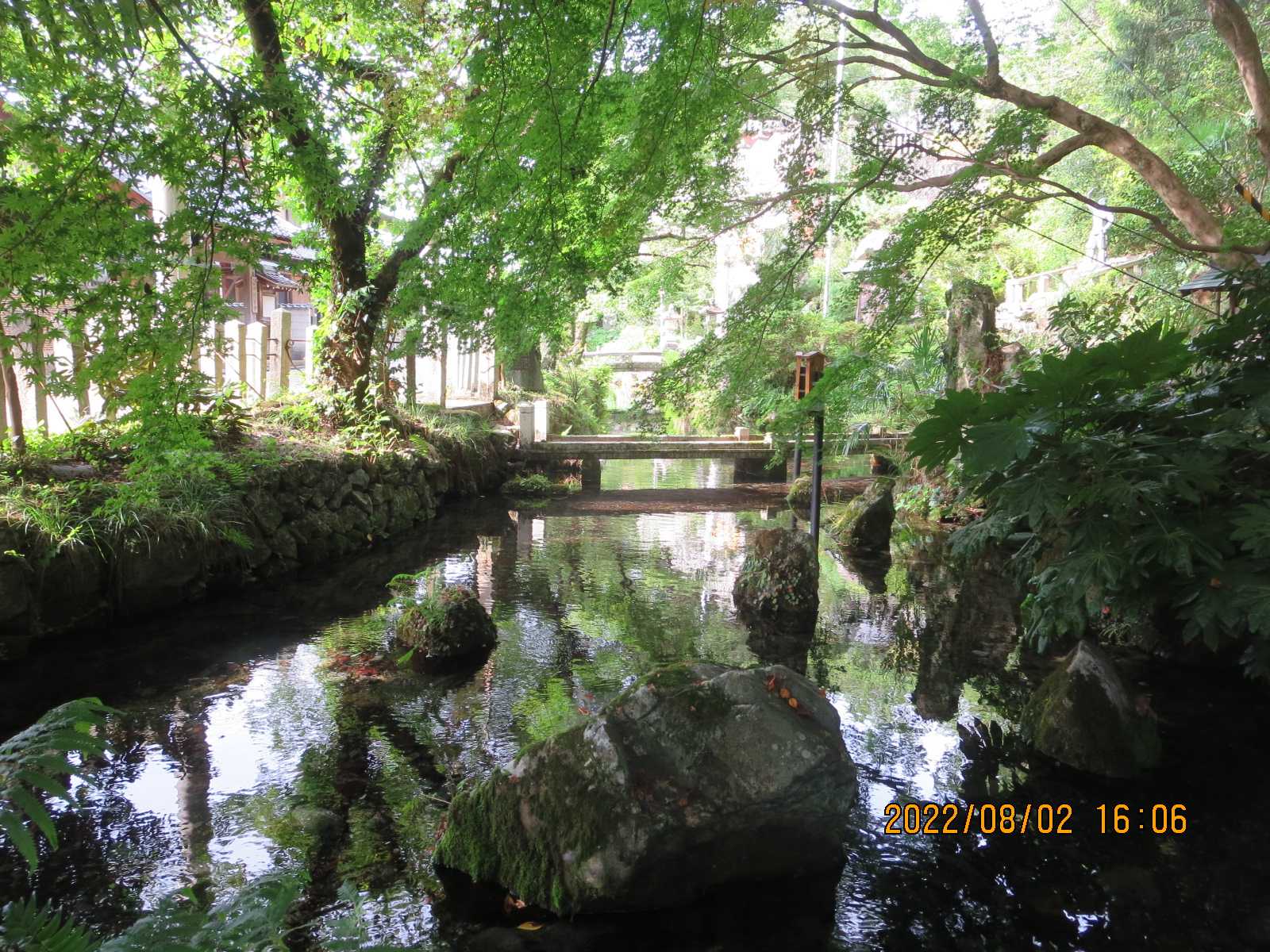 8月 2日 JR米原⇒JR醒ヶ井駅⇒徒歩 地蔵川 梅花藻 そぞろ歩きモーメントのブログ 楽天ブログ