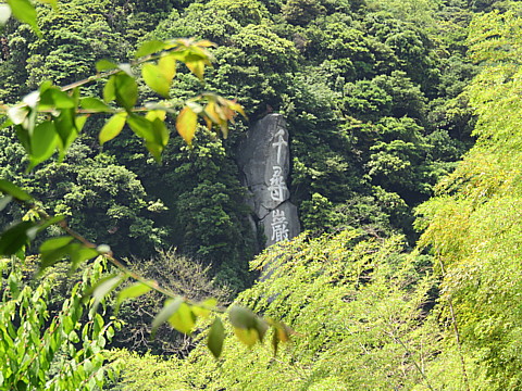 IMG_1296.jpg