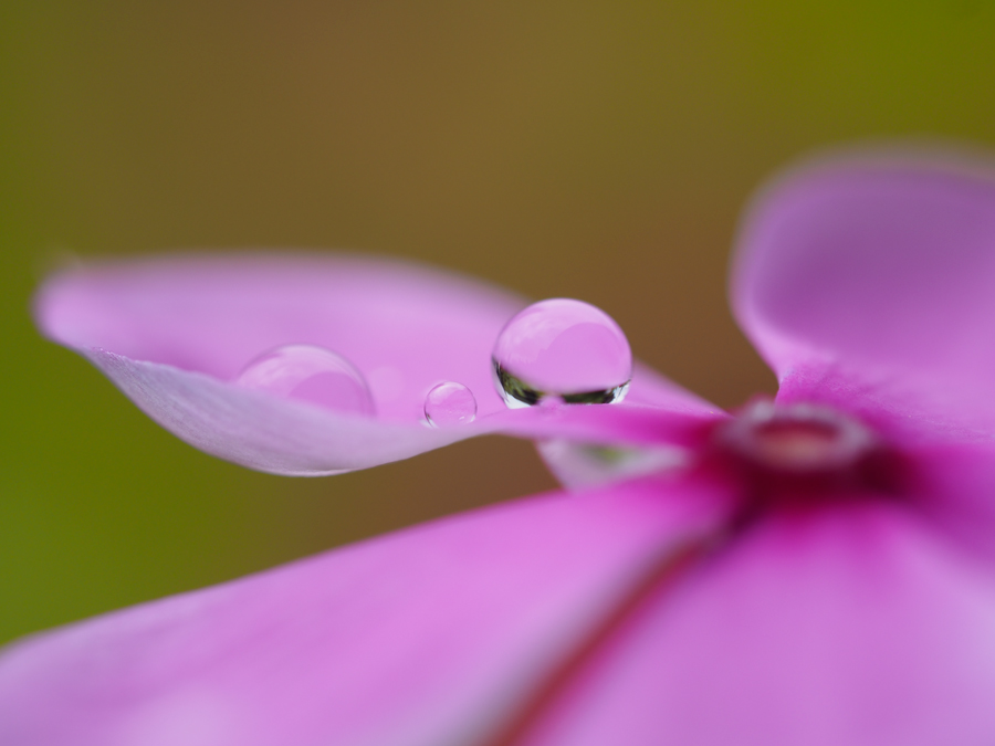 20140830_102934.jpg