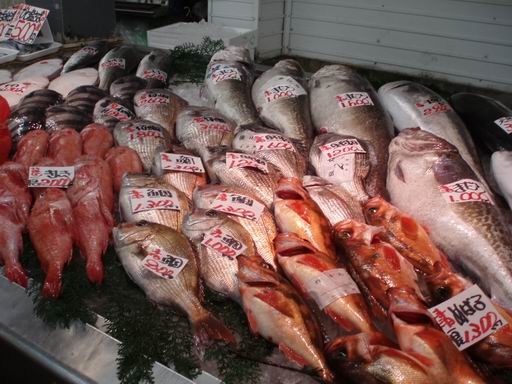 魚のアメ横3