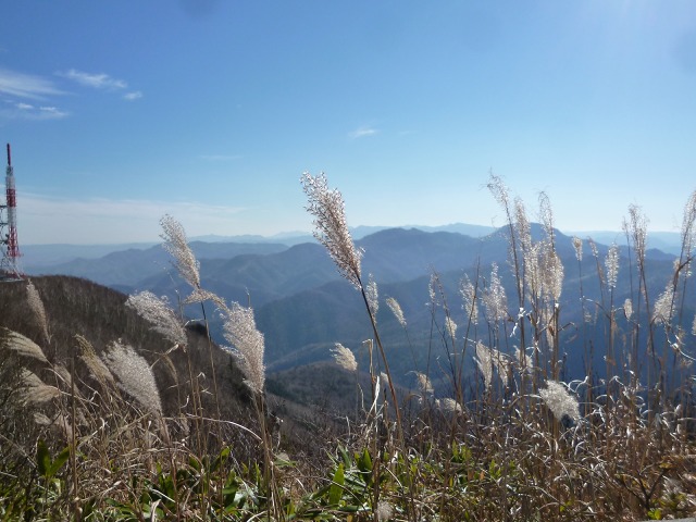P1310619ススキ越しに12：26.jpg