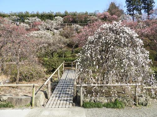 池上梅園