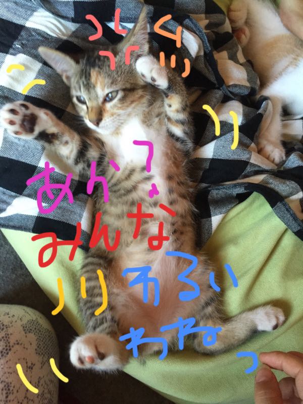 rblog-20150714223901-00.jpg