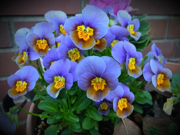 rblog-20161128164756-01.jpg