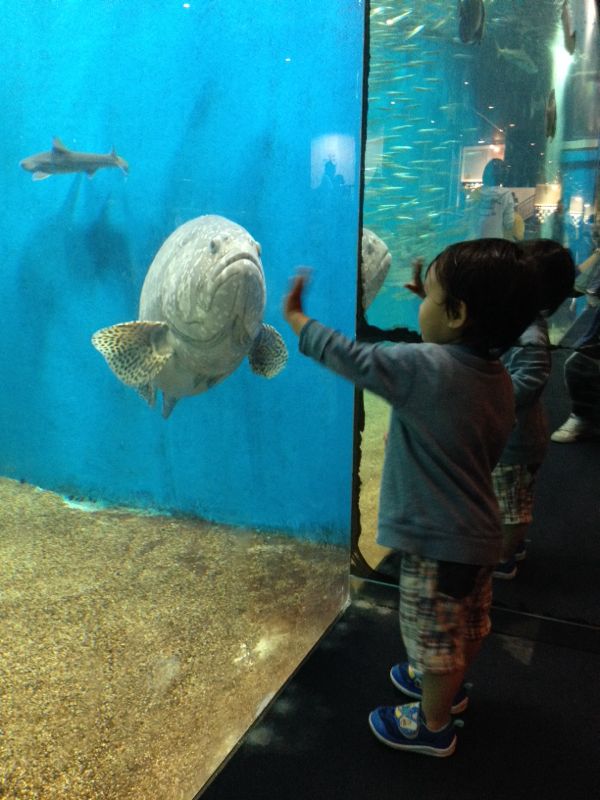 rblog-20140526142222-02.jpg