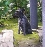 かんてんパパ (2).jpg