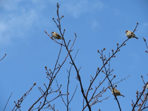 IMG_0179.JPG