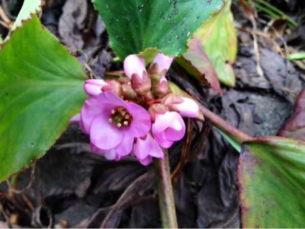 rblog-20140319210354-02.jpg