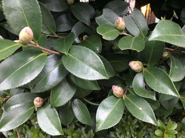 rblog-20181108170359-01.jpg