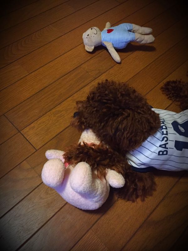 rblog-20160510204153-01.jpg