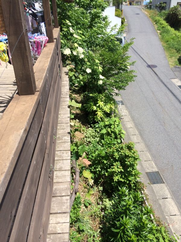 rblog-20140519231723-02.jpg