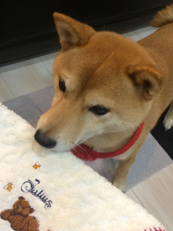 rblog-20161224012925-04.jpg