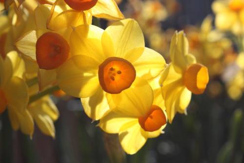 2015032902.JPG