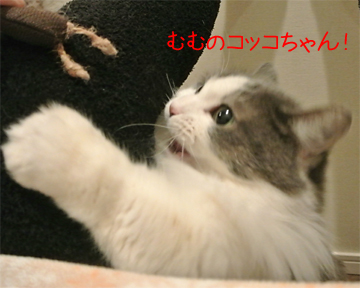 mumu8.jpg