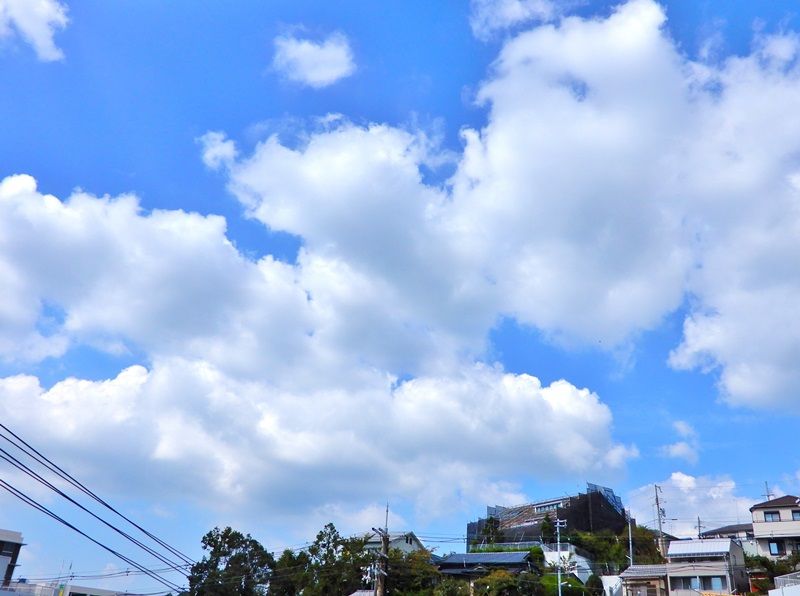 空1